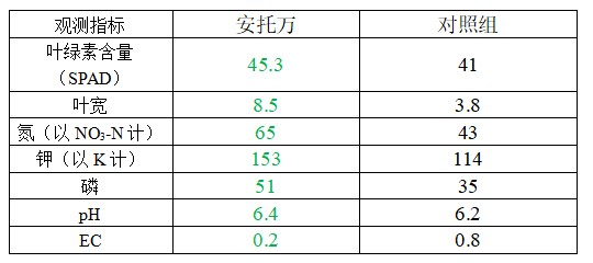 无标题-2.jpg